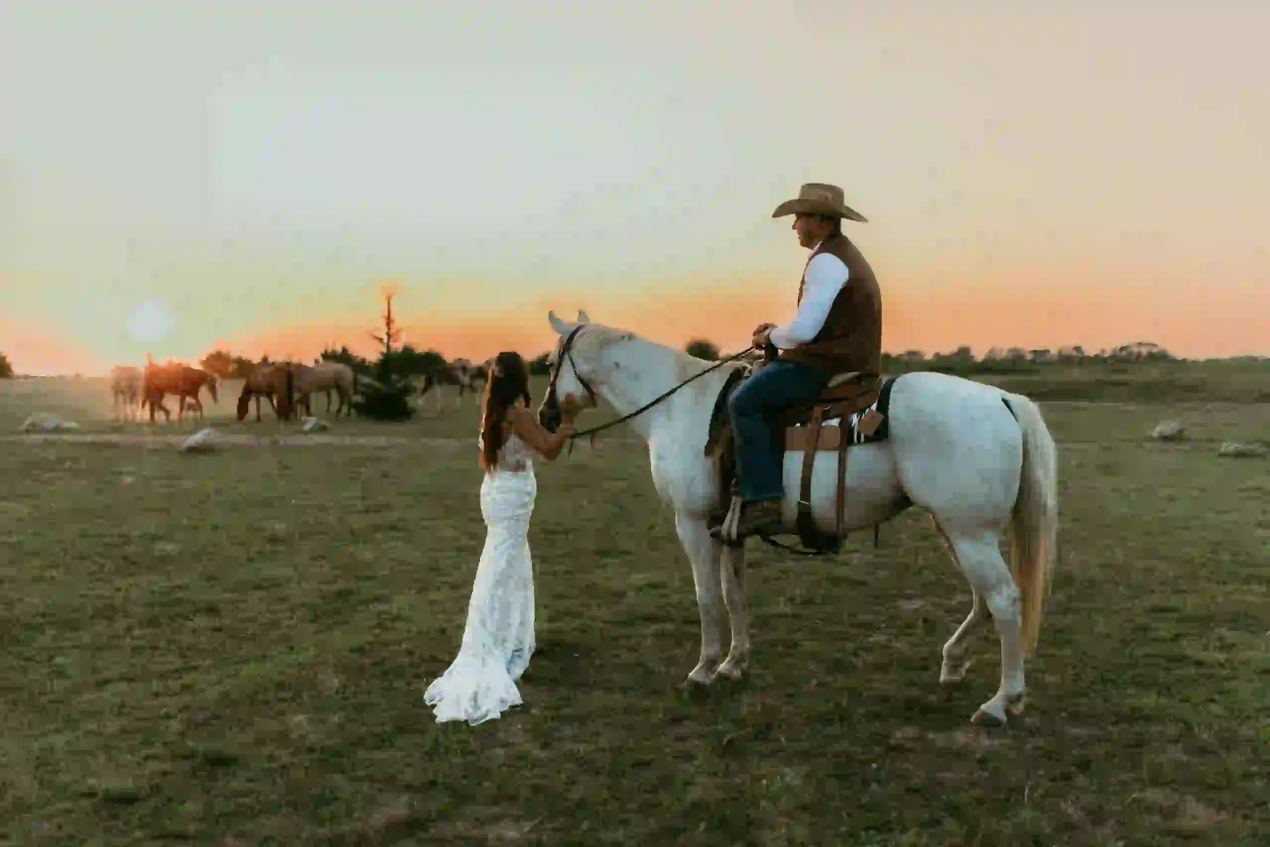 Diamond Springs Ranch Wichita KS